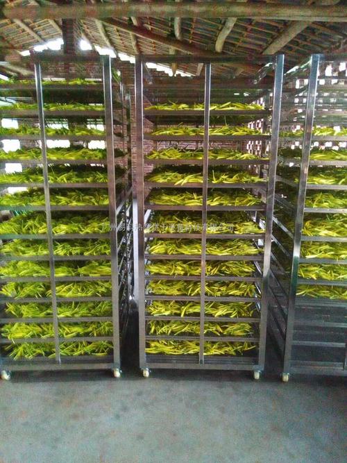 黃花菜烘干機(jī)、黃花菜烘干設(shè)備、黃花菜干燥機(jī)、黃花菜干燥設(shè)備、